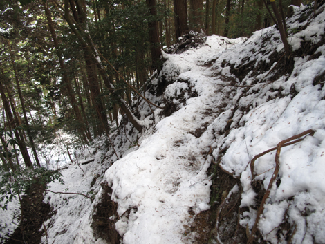 20140211hike (278)